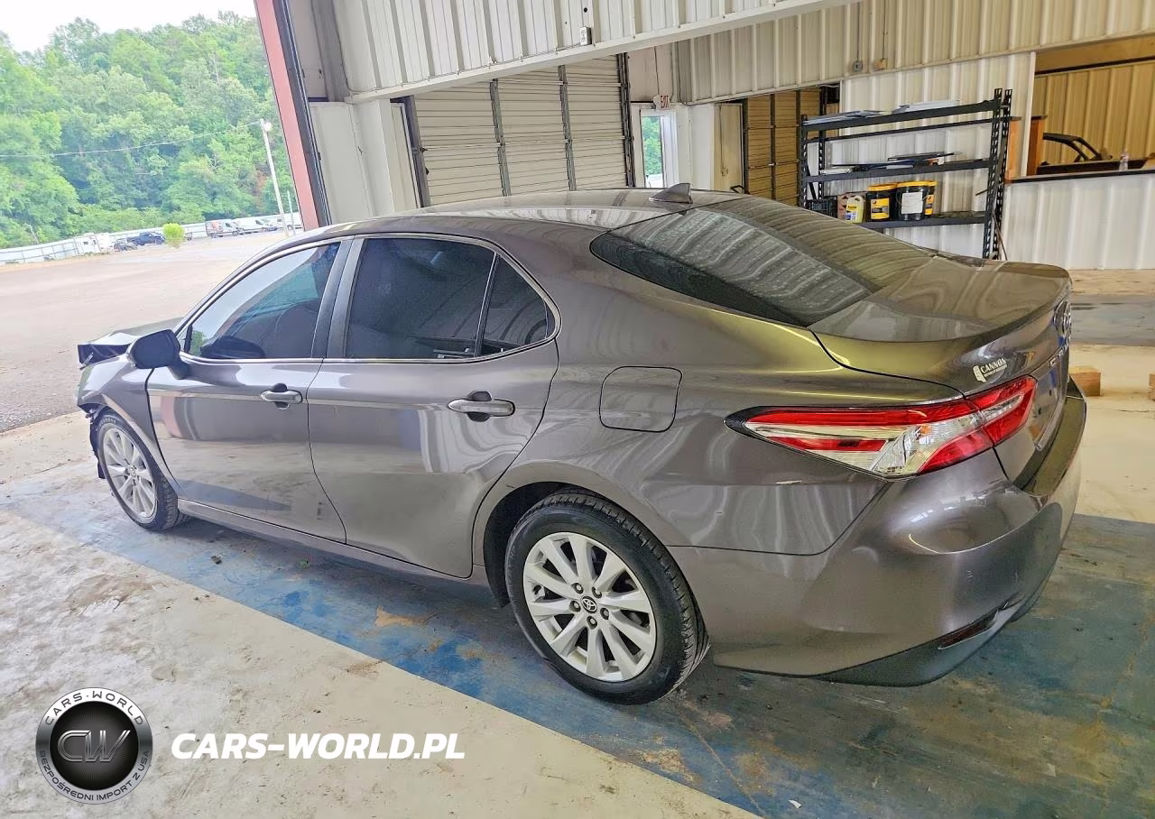 2020 Toyota Camry Le VIN:4T1C11AK0LU972190 - 2