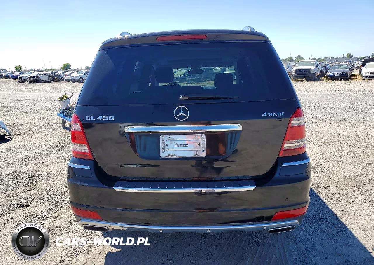2010 Mercedes-Benz Gl 450 4Matic VIN:4JGBF7BE4AA555954 - 6