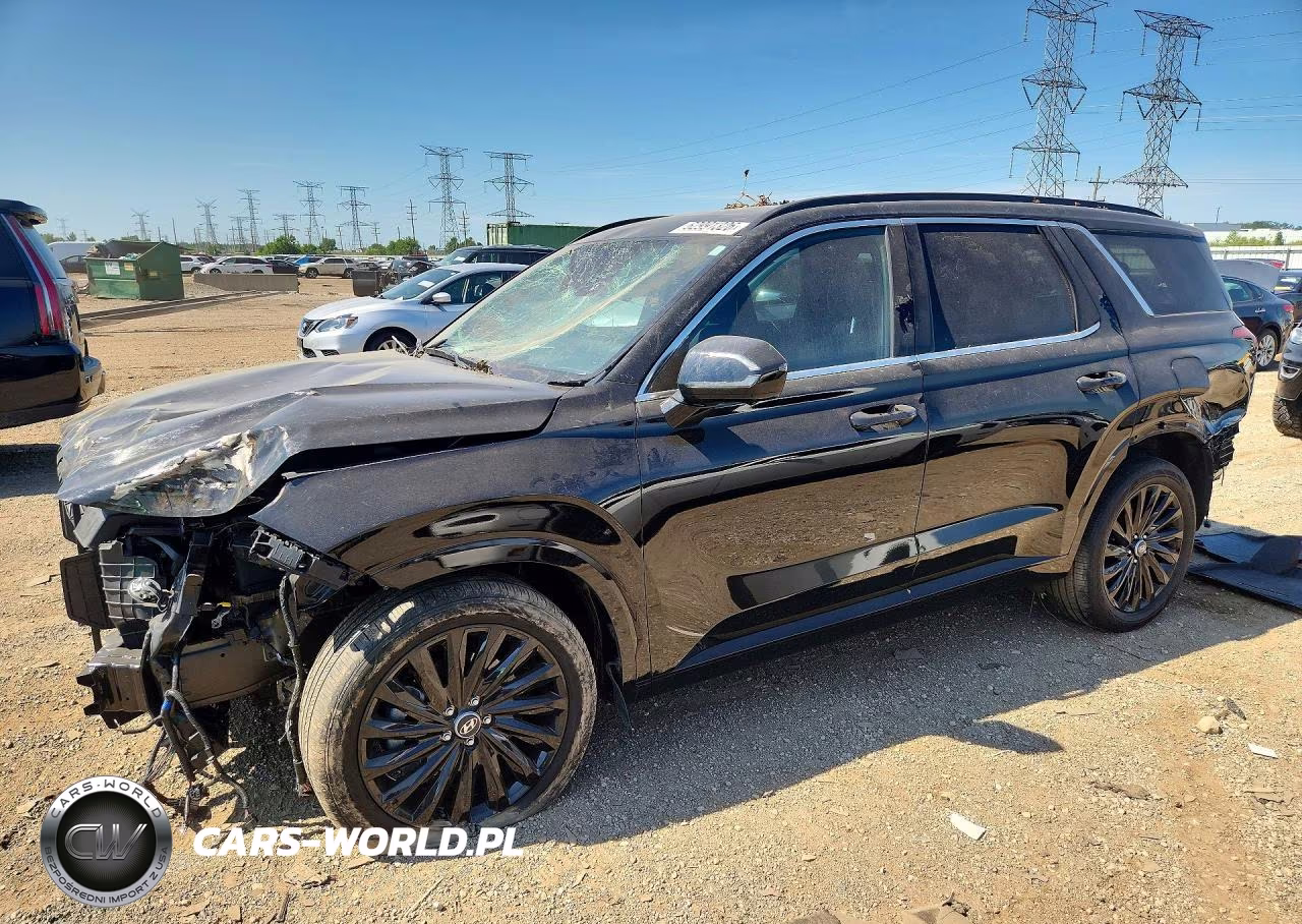 2025 Hyundai Palisade Calligraphy Night Edition VIN:KM8R7DGE0SU949549 - 1