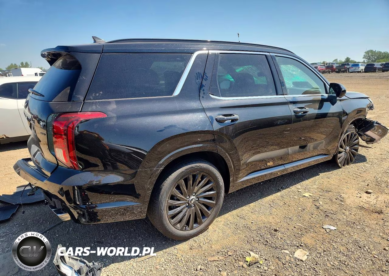 2025 Hyundai Palisade Calligraphy Night Edition VIN:KM8R7DGE0SU949549 - 3
