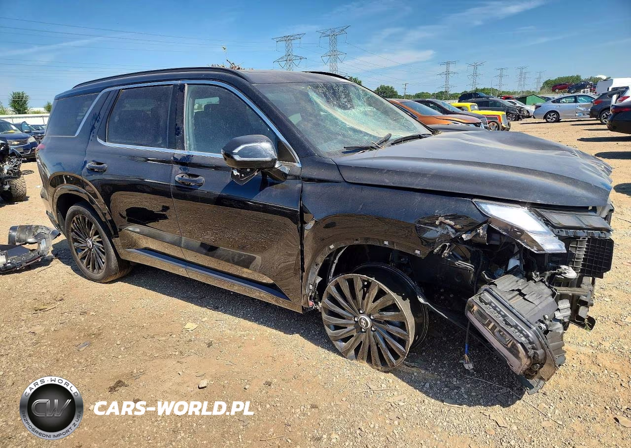 2025 Hyundai Palisade Calligraphy Night Edition VIN:KM8R7DGE0SU949549 - 4