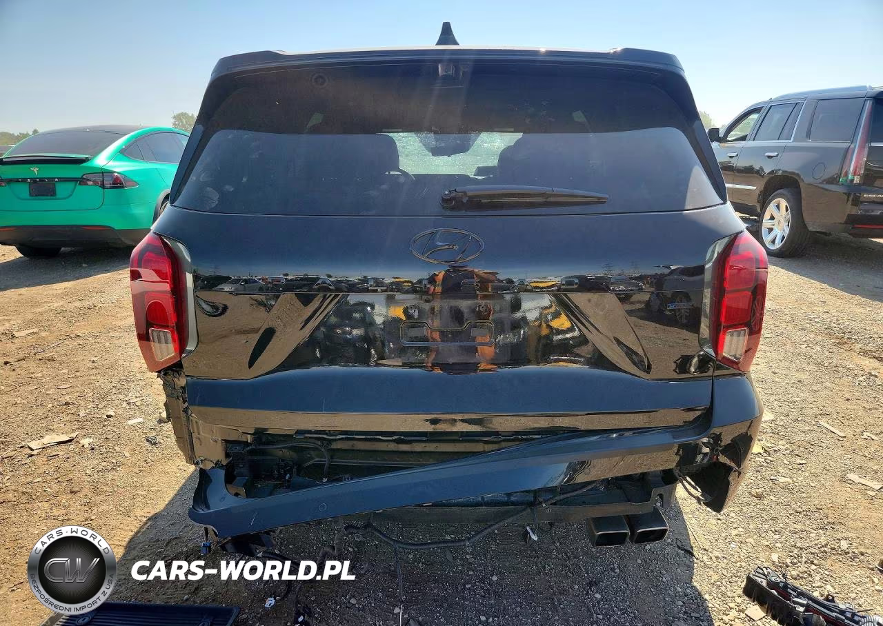 2025 Hyundai Palisade Calligraphy Night Edition VIN:KM8R7DGE0SU949549 - 6