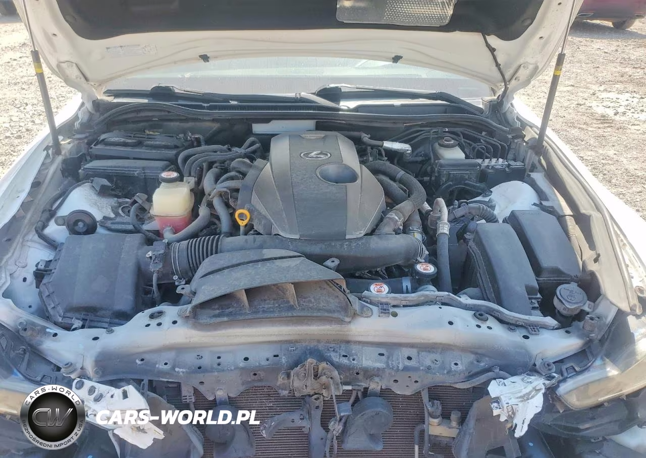 2019 Lexus Is 300 VIN:JTHBA1D28K5085763 - 11