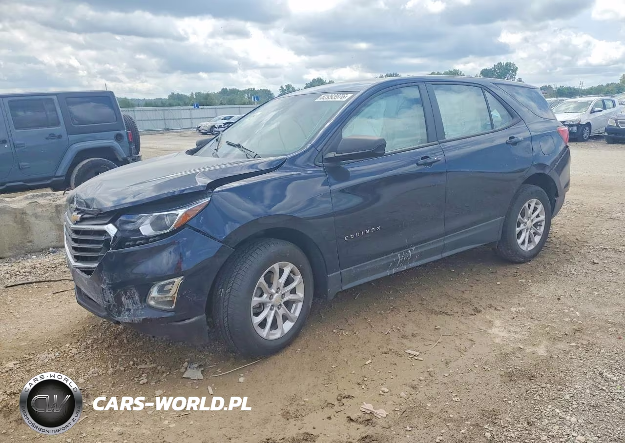 2020 Chevrolet Equinox Ls VIN:3GNAXSEV4LS730823 - 1