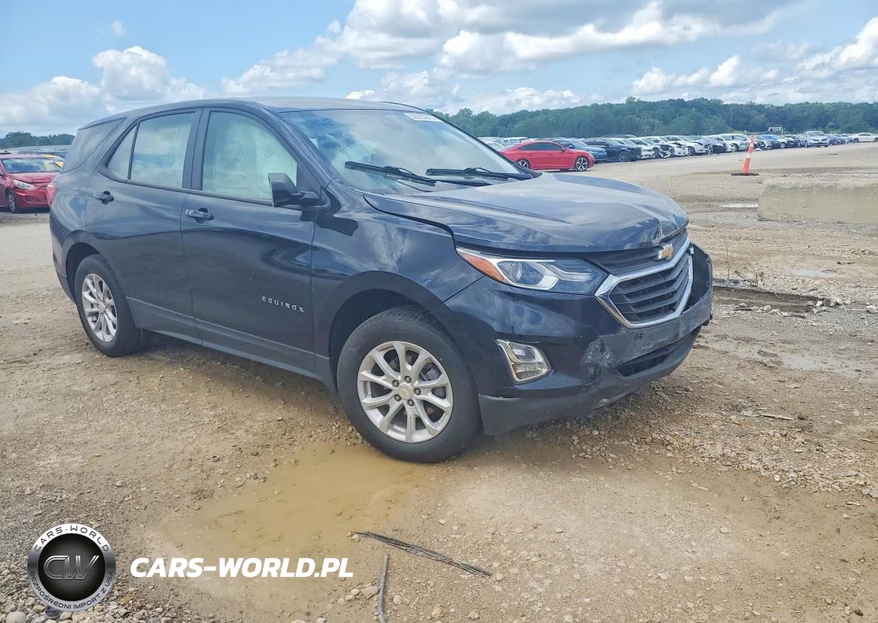 2020 Chevrolet Equinox Ls VIN:3GNAXSEV4LS730823 - 4