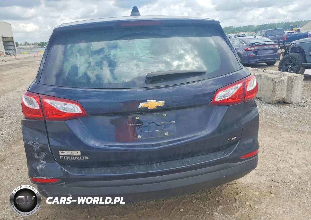 2020 Chevrolet Equinox Ls VIN:3GNAXSEV4LS730823 - 6
