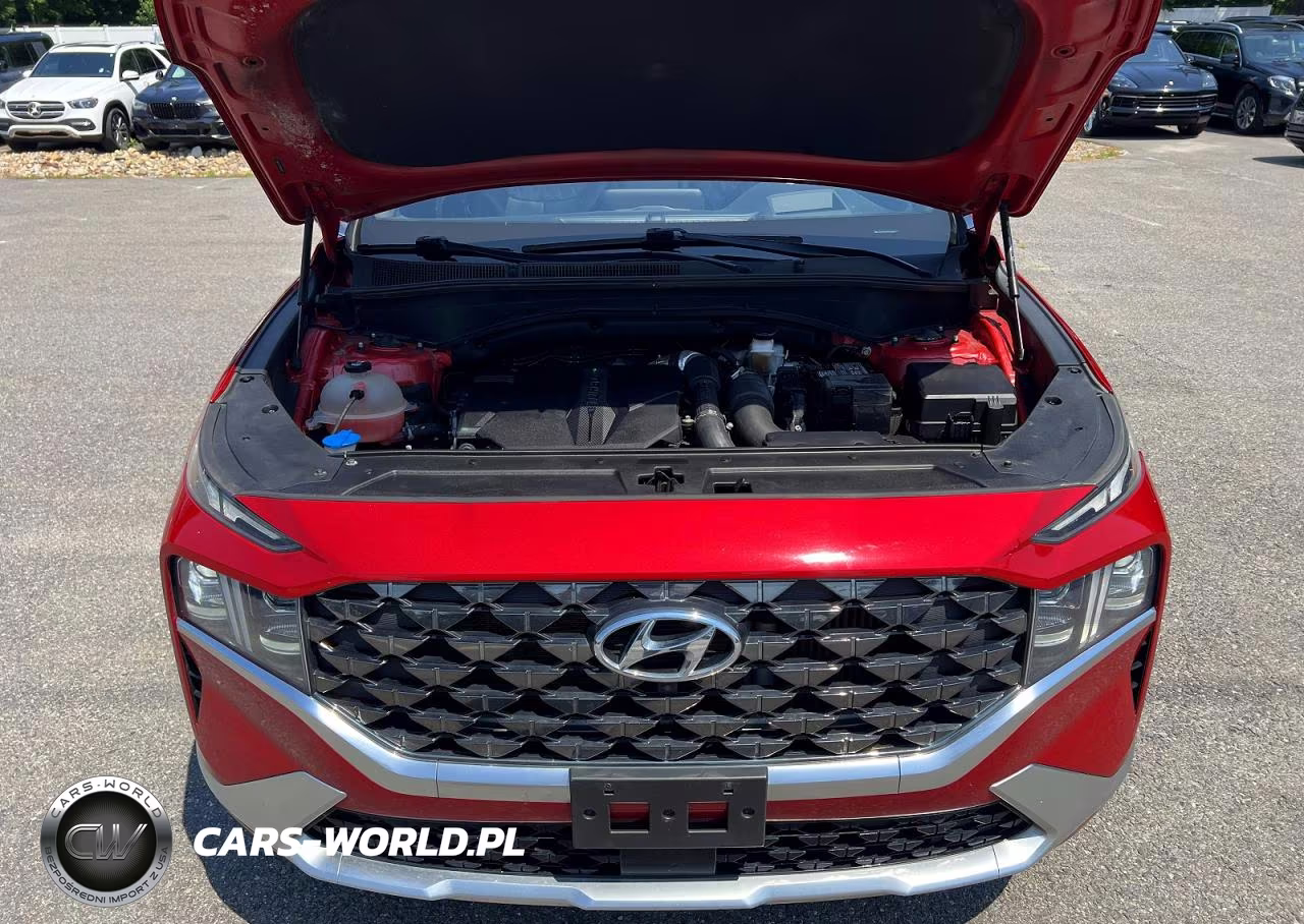 2022 Hyundai Santa Fe Calligraphy VIN:5NMS5DAL3NH420594 - 8