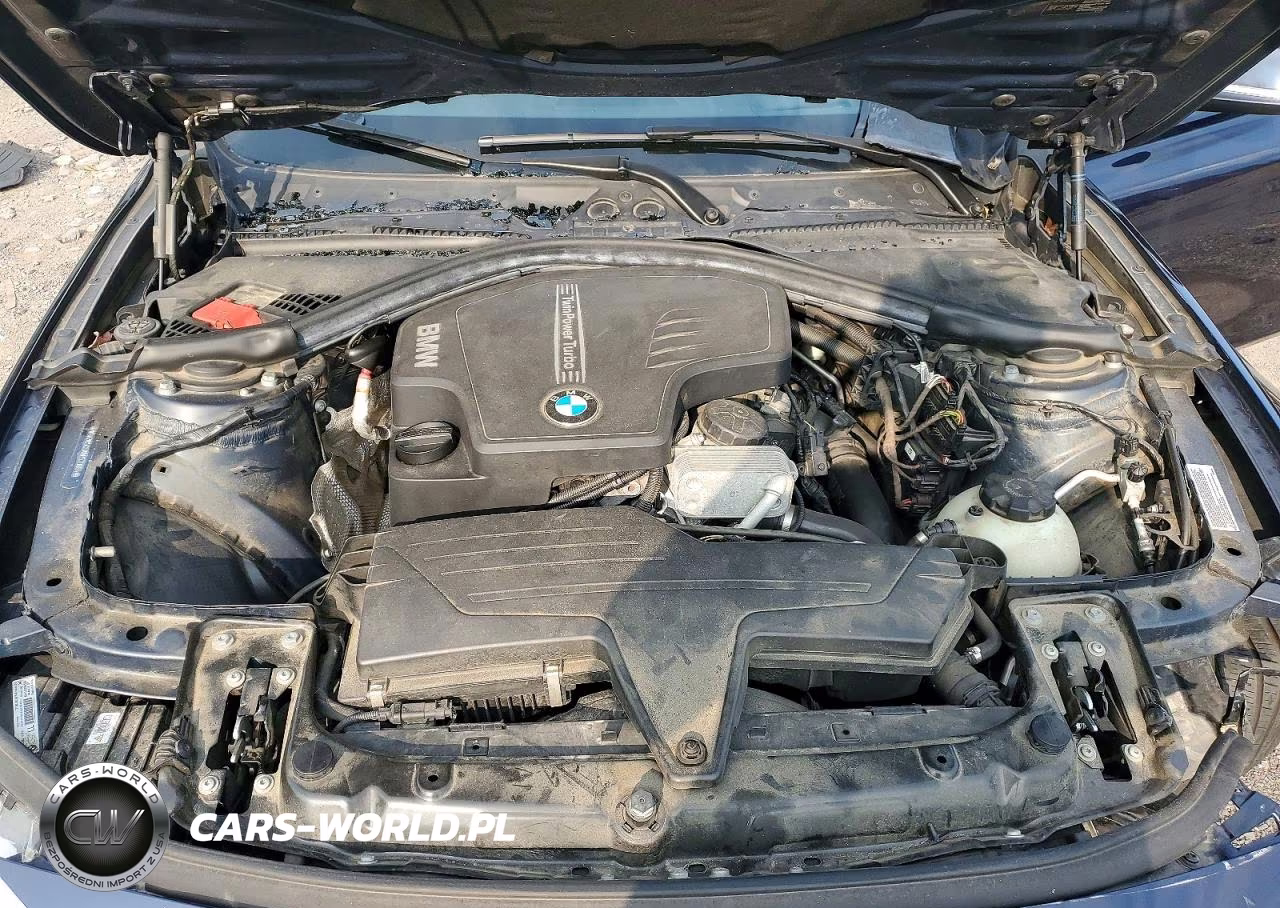 2013 BMW 328 Xi Sulev VIN:WBA3B5C5XDP539084 - 11