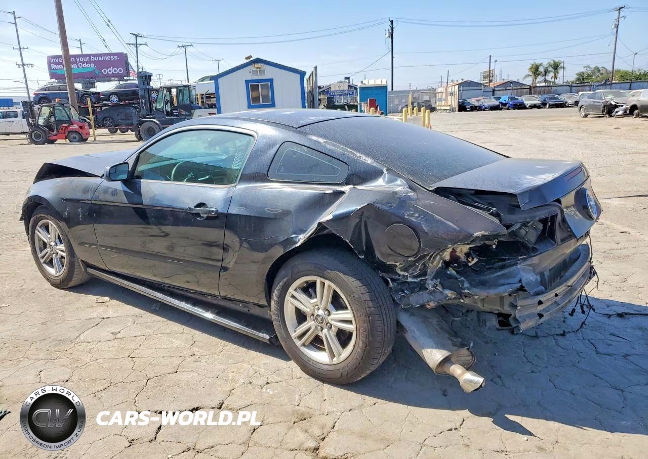 2014 Ford Mustang VIN:1ZVBP8AM8E5316659 - 2