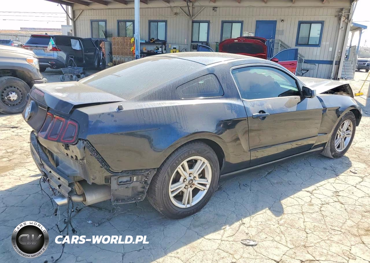 2014 Ford Mustang VIN:1ZVBP8AM8E5316659 - 3