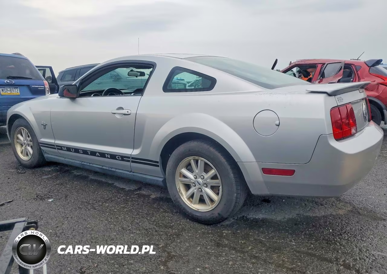 2009 Ford Mustang VIN:1ZVHT80N895104804 - 2