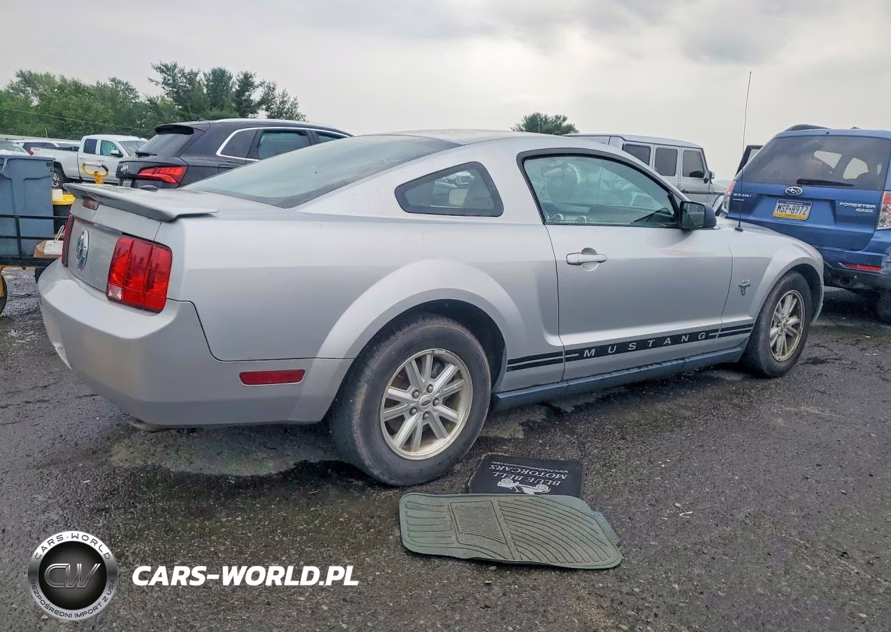 2009 Ford Mustang VIN:1ZVHT80N895104804 - 3