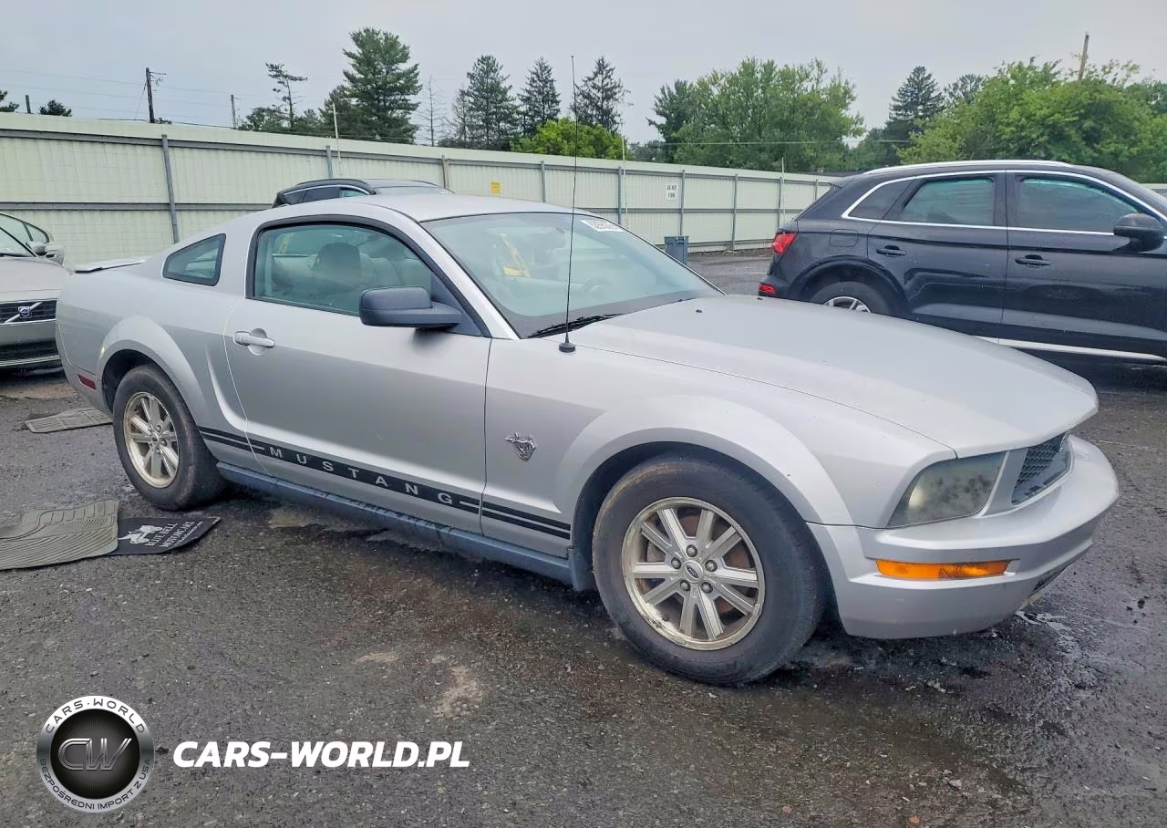 2009 Ford Mustang VIN:1ZVHT80N895104804 - 4