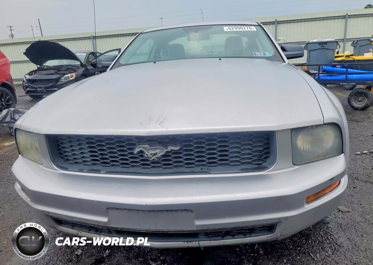 2009 Ford Mustang VIN:1ZVHT80N895104804 - 5