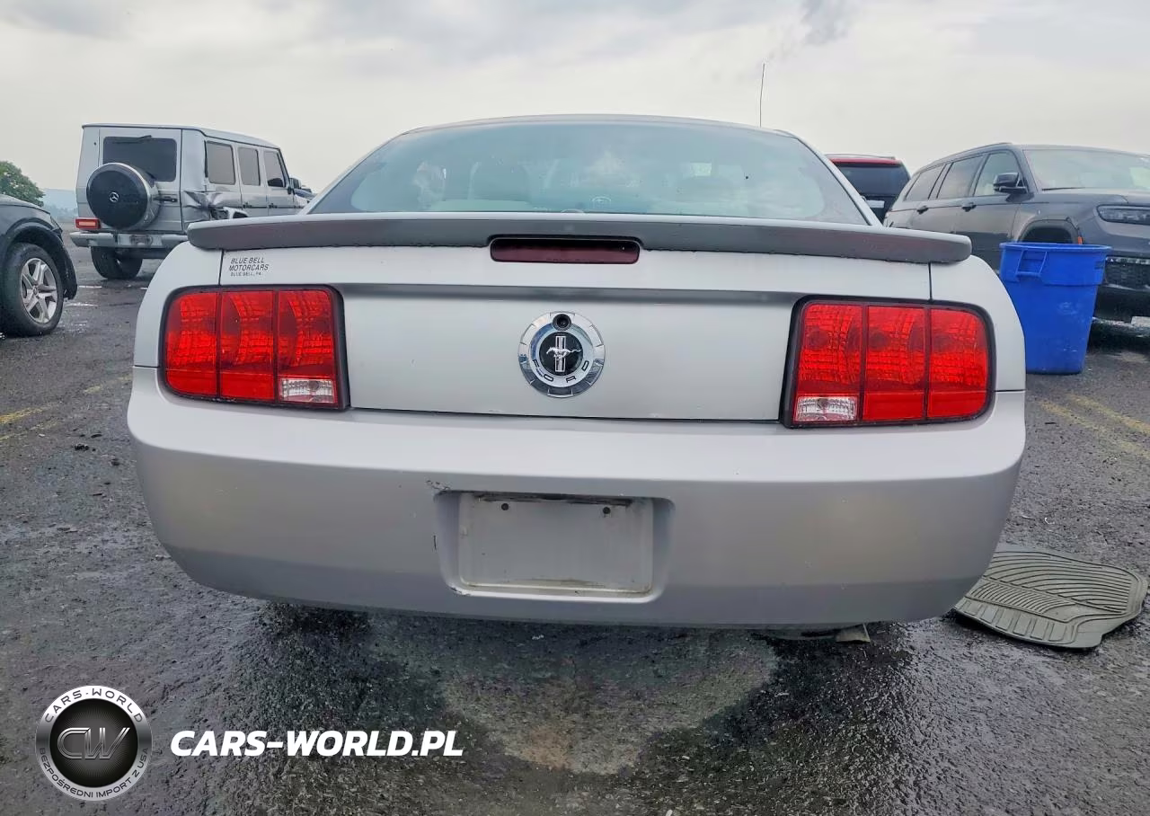2009 Ford Mustang VIN:1ZVHT80N895104804 - 6