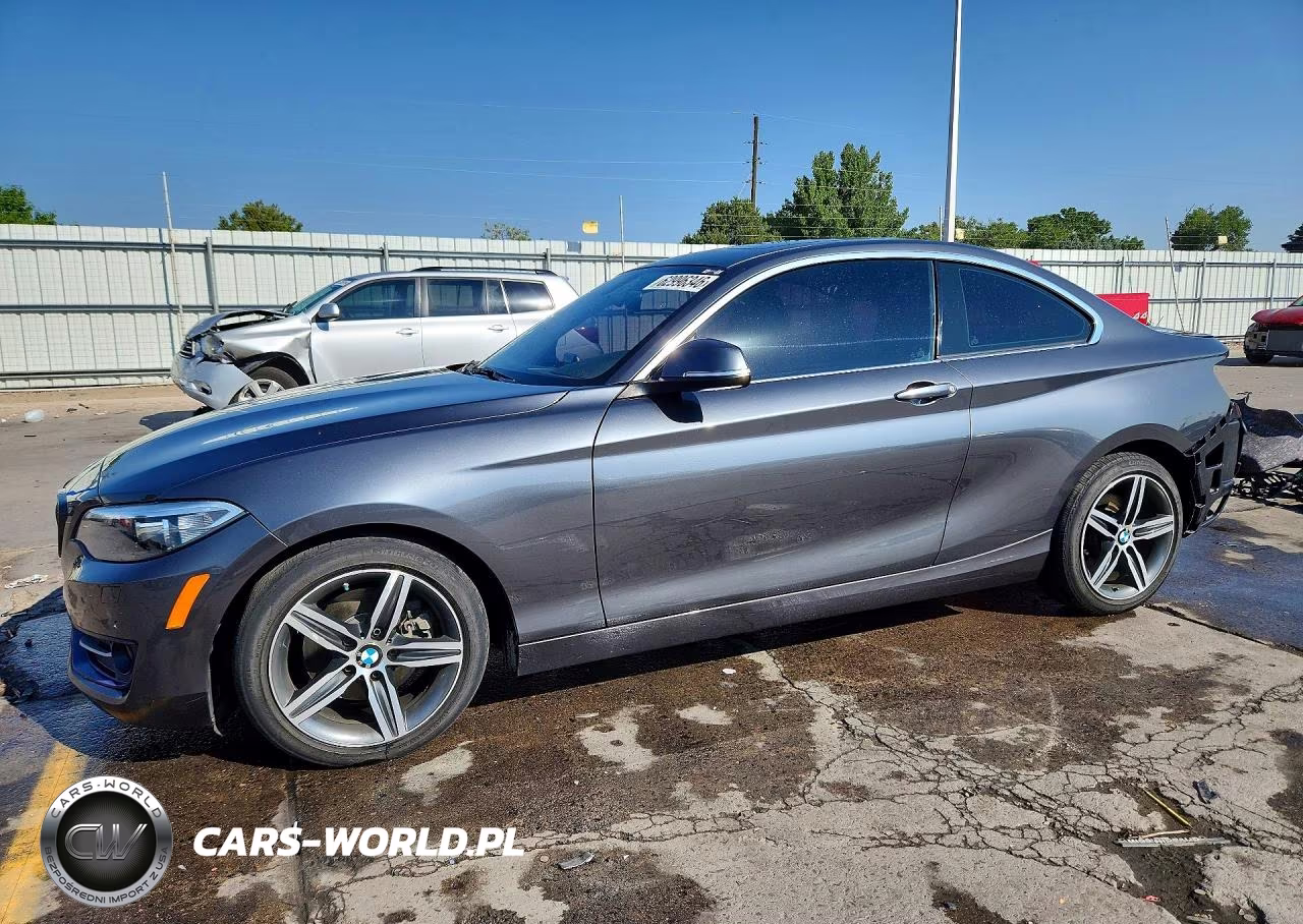 2017 BMW 230Xi – zdjęcie 1 z 13