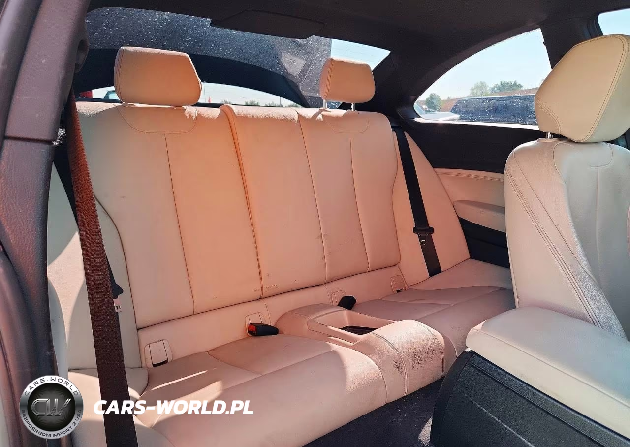 2017 BMW 230Xi VIN:WBA2H9C36HV642603 - 10