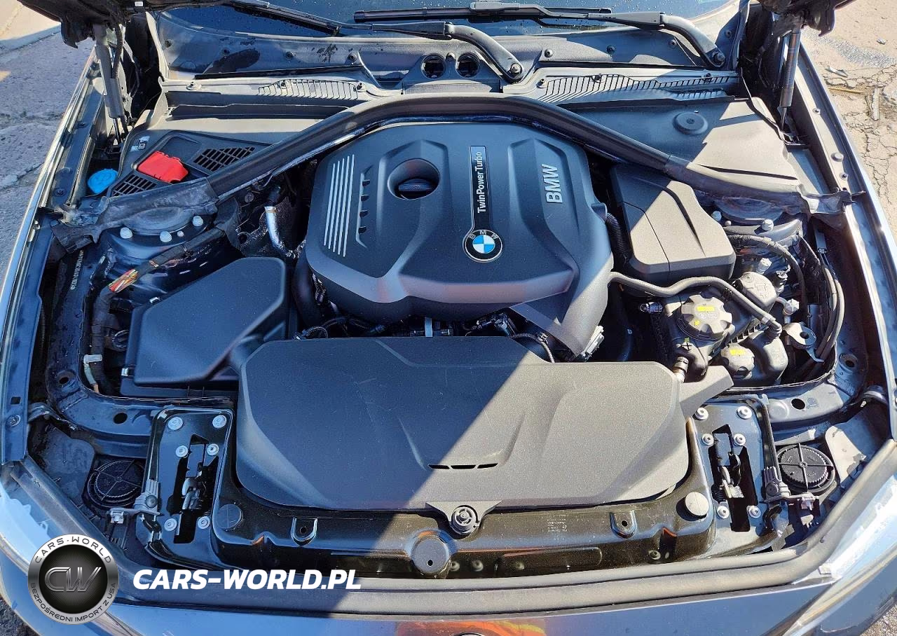 2017 BMW 230Xi VIN:WBA2H9C36HV642603 - 11