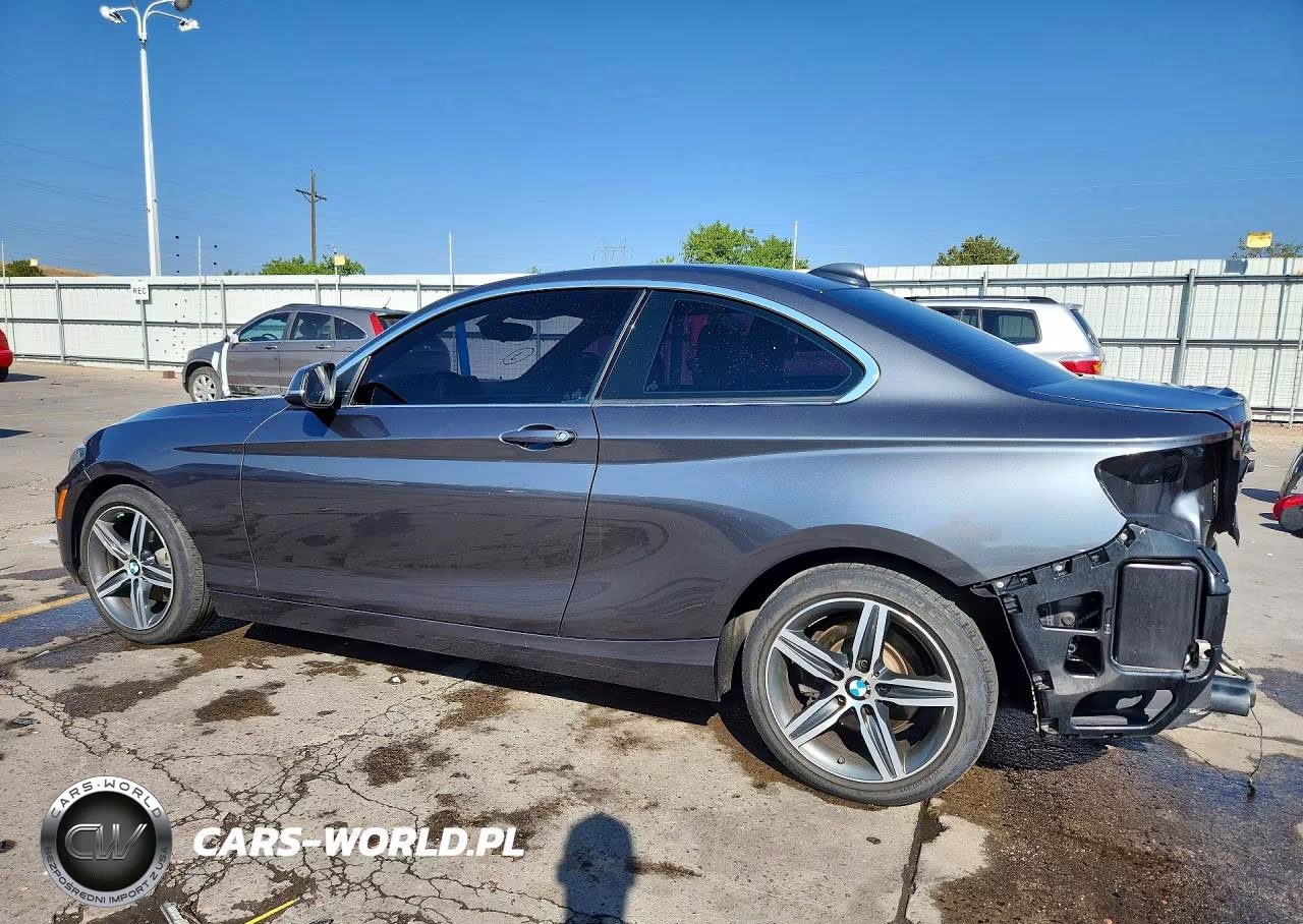 2017 BMW 230Xi VIN:WBA2H9C36HV642603 - 2