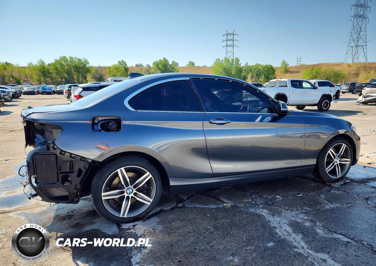 2017 BMW 230Xi VIN:WBA2H9C36HV642603 - 3