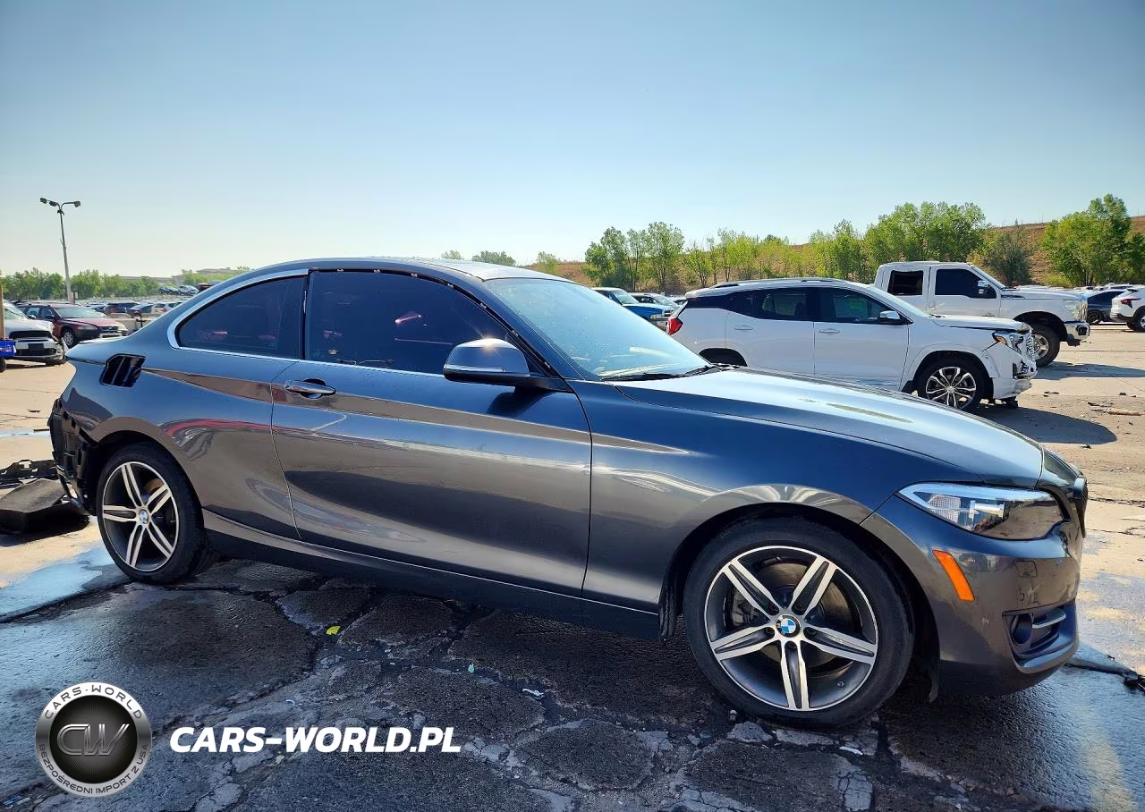2017 BMW 230Xi VIN:WBA2H9C36HV642603 - 4