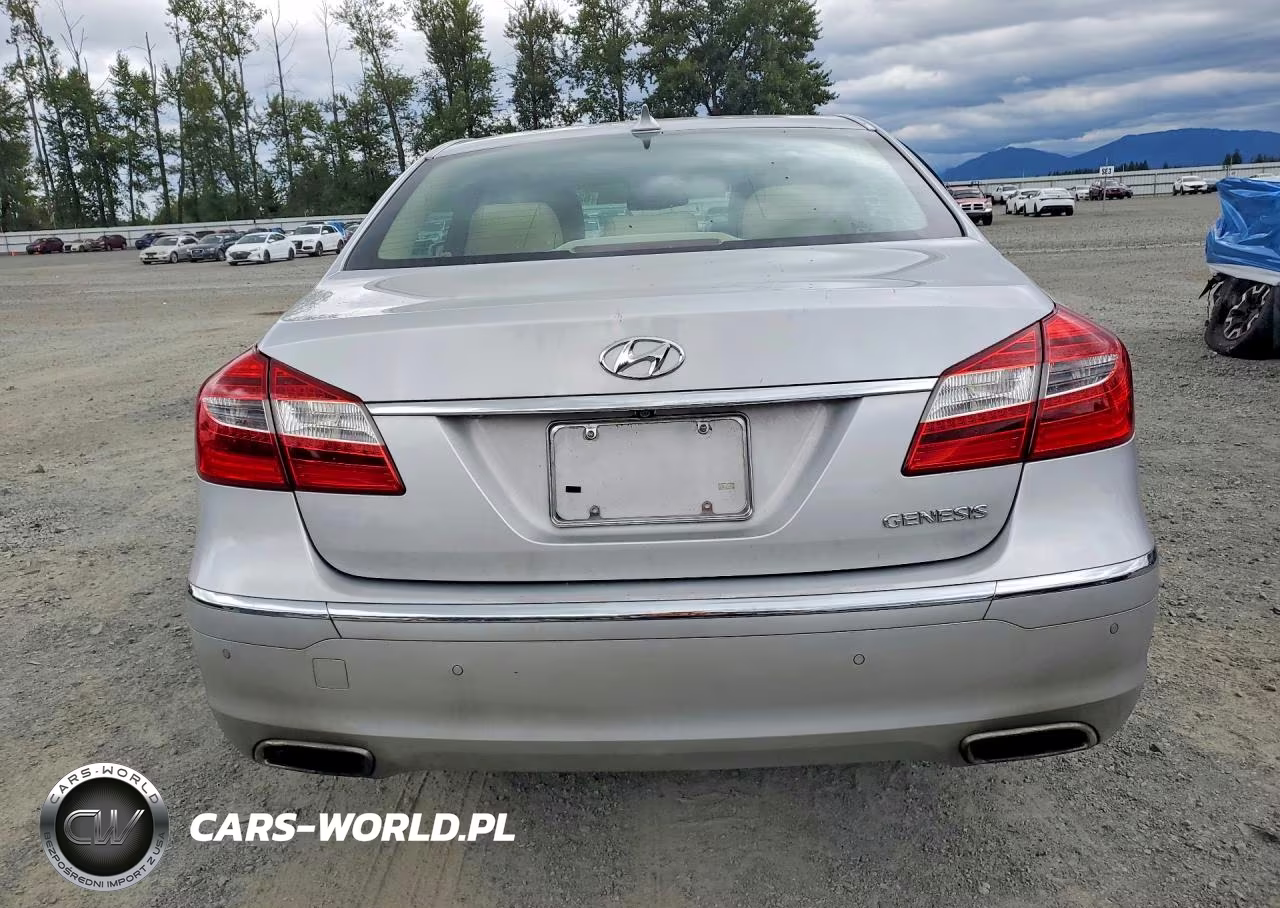 2014 Hyundai Genesis 3.8L VIN:KMHGC4DD6EU262983 - 6