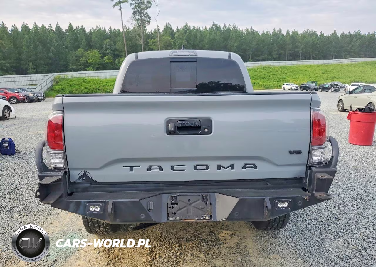 2019 Toyota Tacoma Trd Off-Road VIN:3TMCZ5ANXKM228551 - 6