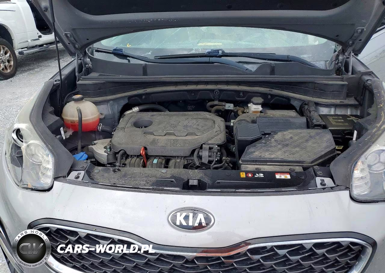 2022 Kia Sportage Ex VIN:KNDPN3AC7N7961798 - 12