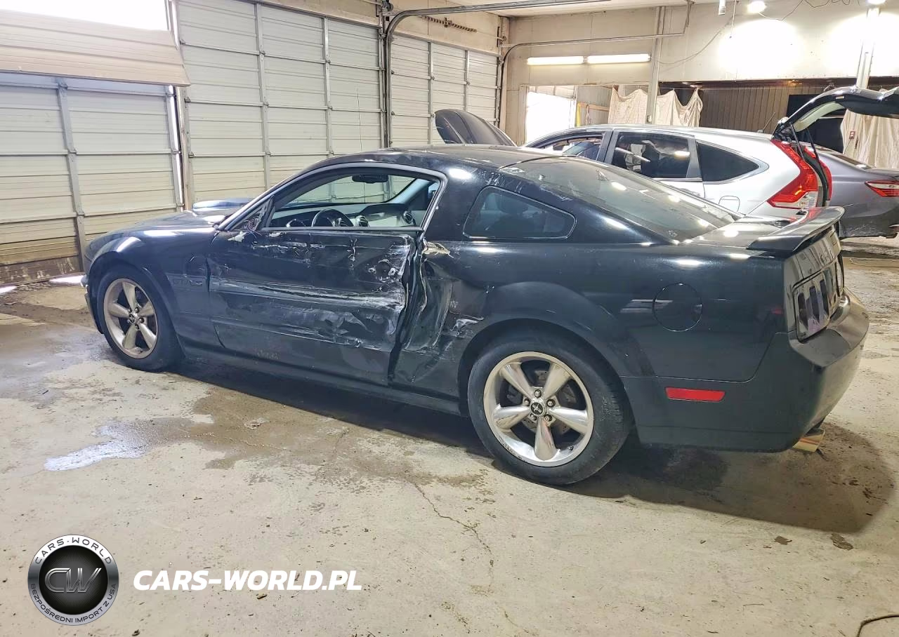 2009 Ford Mustang Gt VIN:1ZVHT82H495122840 - 2