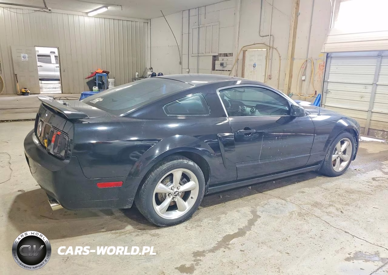 2009 Ford Mustang Gt VIN:1ZVHT82H495122840 - 3