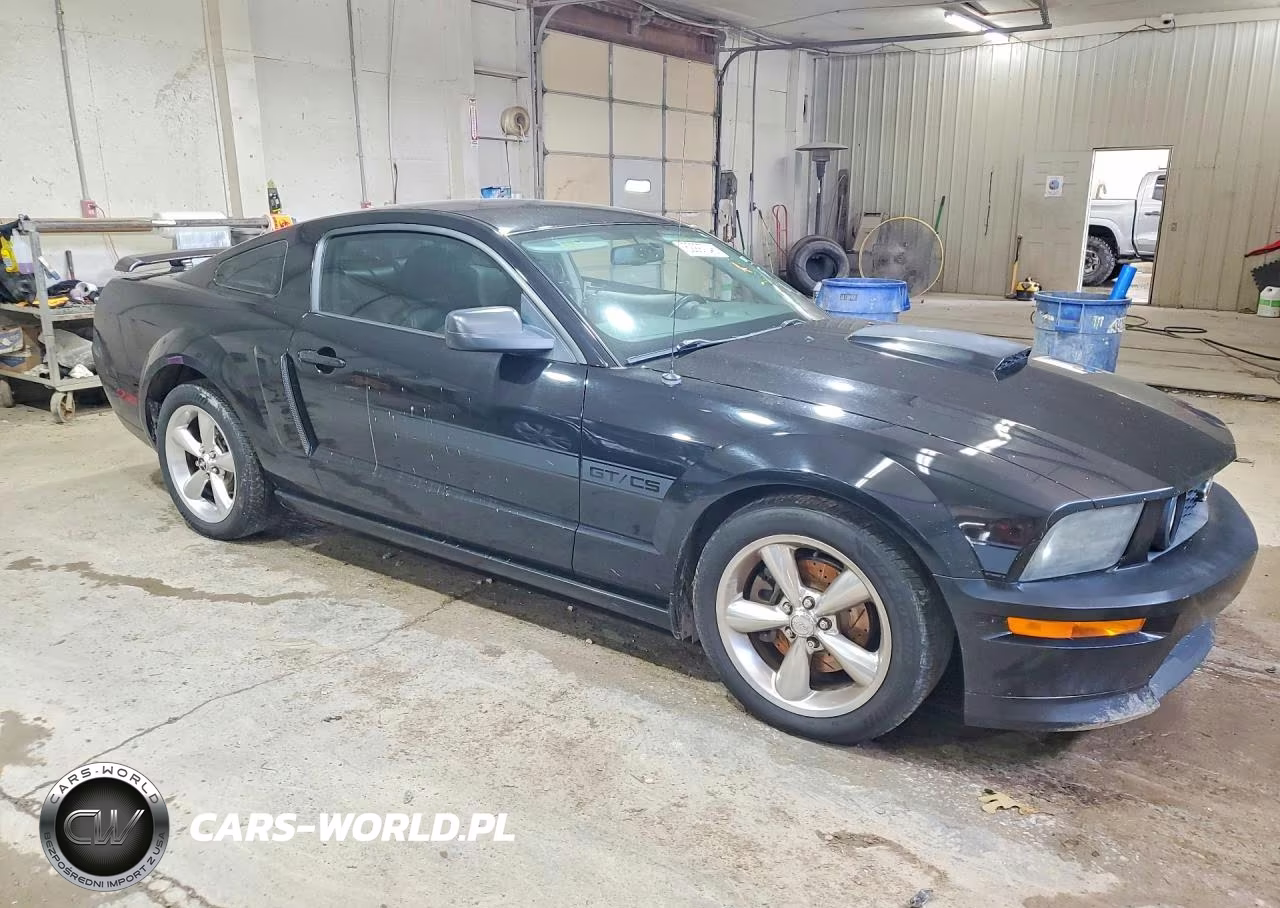2009 Ford Mustang Gt VIN:1ZVHT82H495122840 - 4