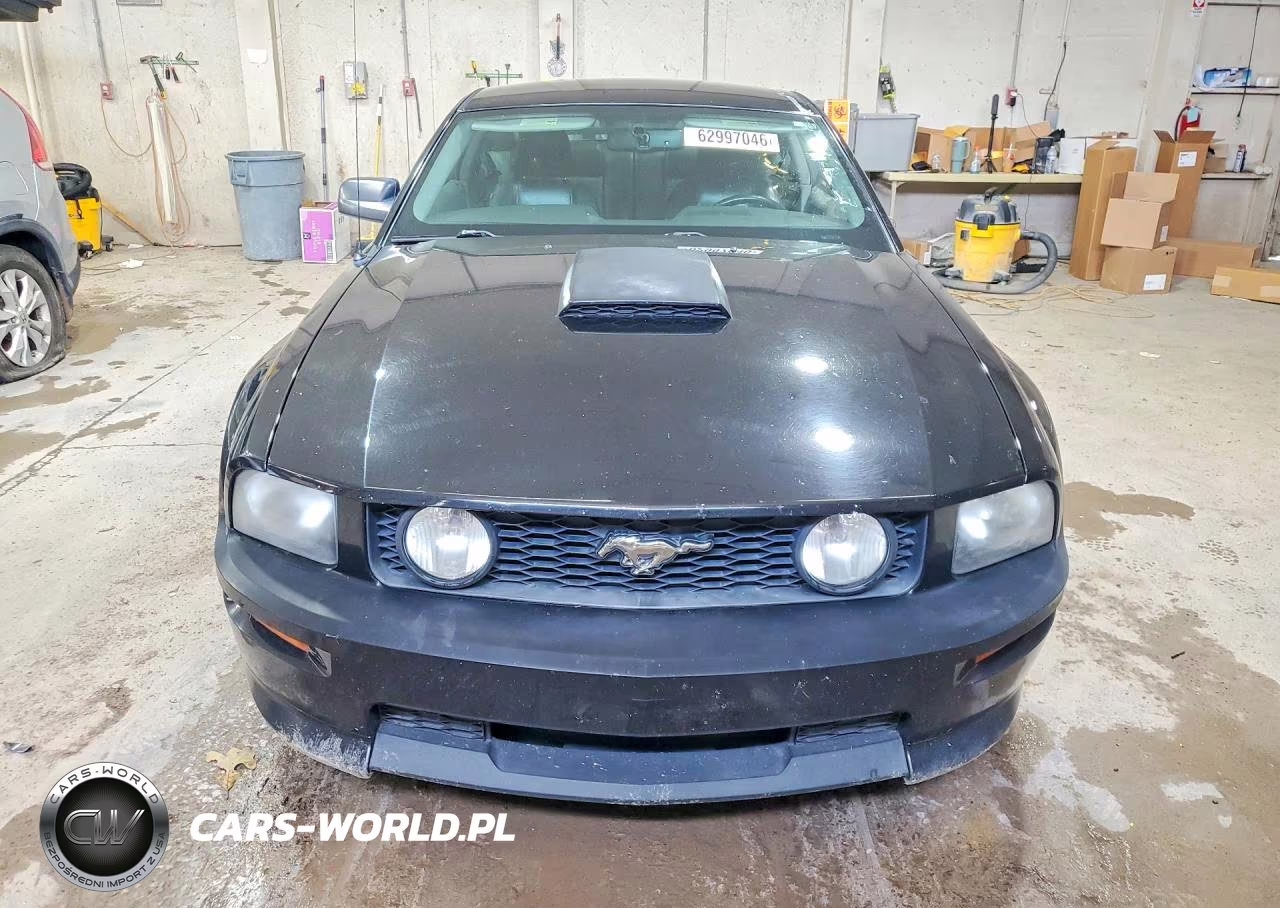 2009 Ford Mustang Gt VIN:1ZVHT82H495122840 - 5