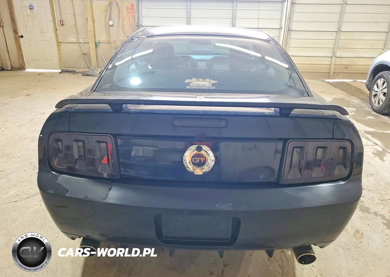2009 Ford Mustang Gt VIN:1ZVHT82H495122840 - 6