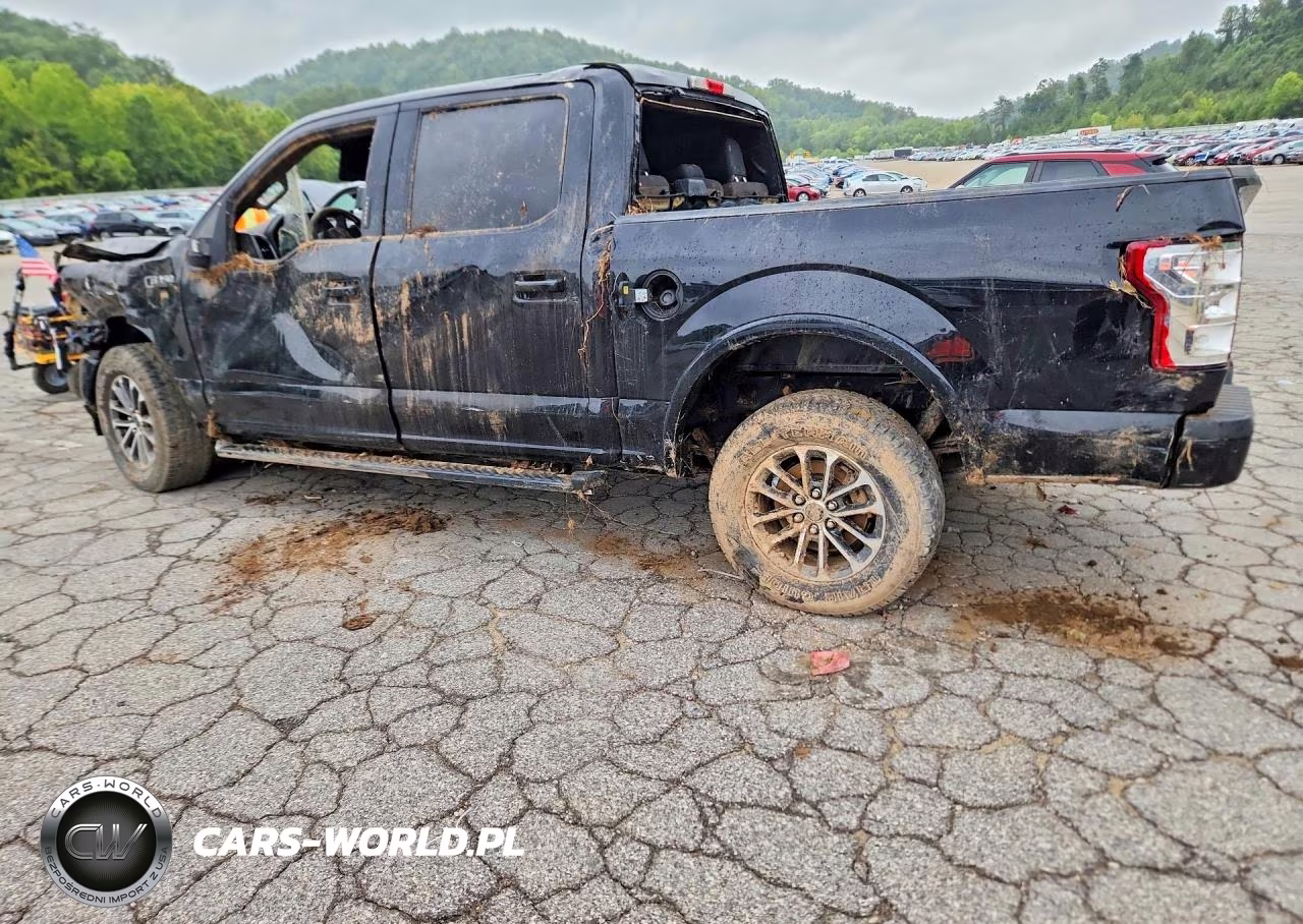 2020 Ford F150 Supercrew VIN:1FTEW1E55LKF35168 - 2