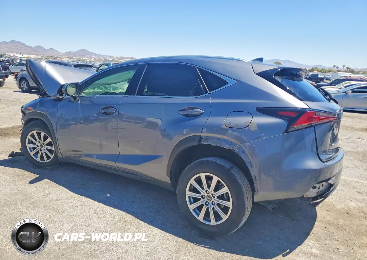 2021 Lexus Nx 300 Base VIN:JTJDARBZ0M2186516 - 2
