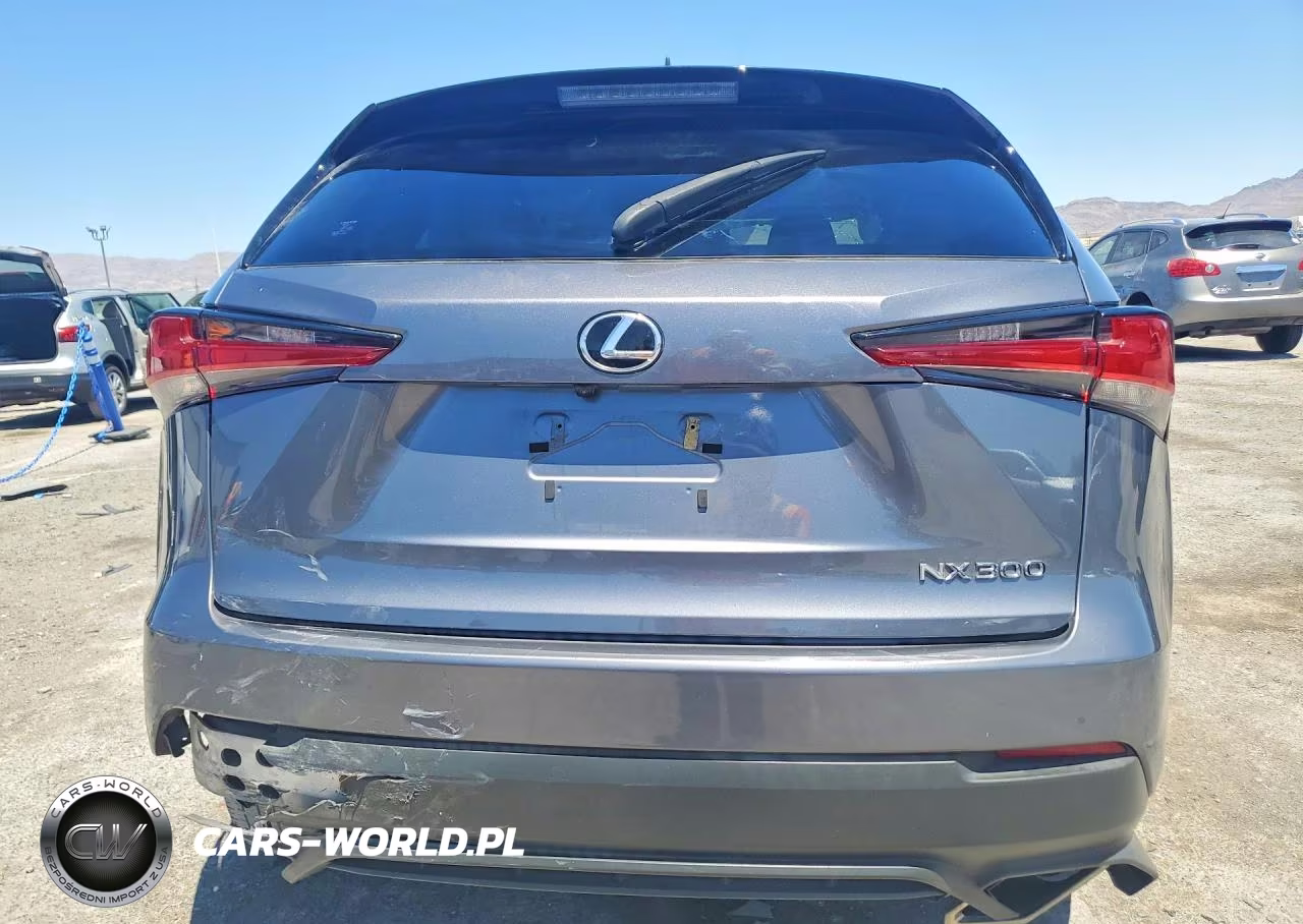 2021 Lexus Nx 300 Base VIN:JTJDARBZ0M2186516 - 6
