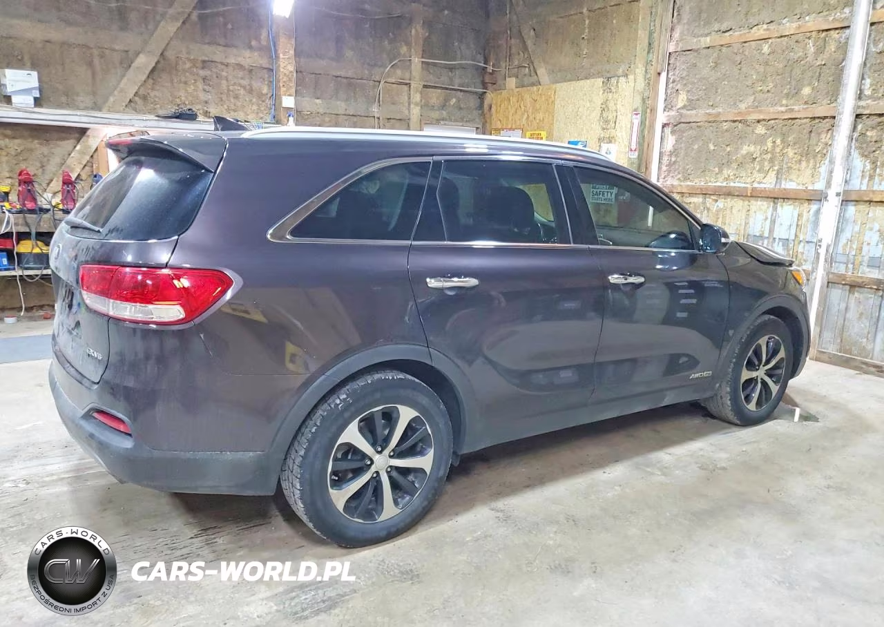 2017 Kia Sorento Ex VIN:5XYPHDA53HG225995 - 3