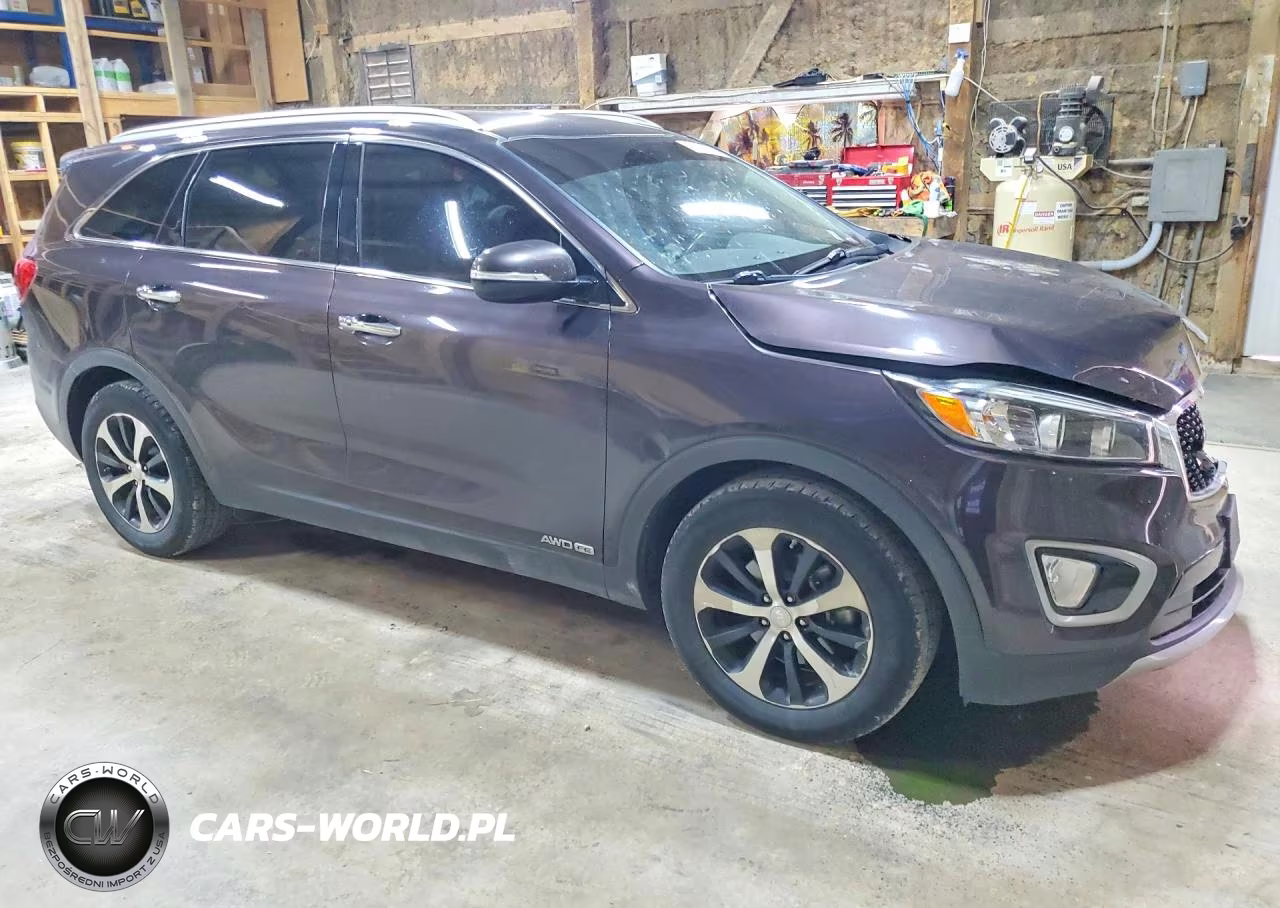 2017 Kia Sorento Ex VIN:5XYPHDA53HG225995 - 4