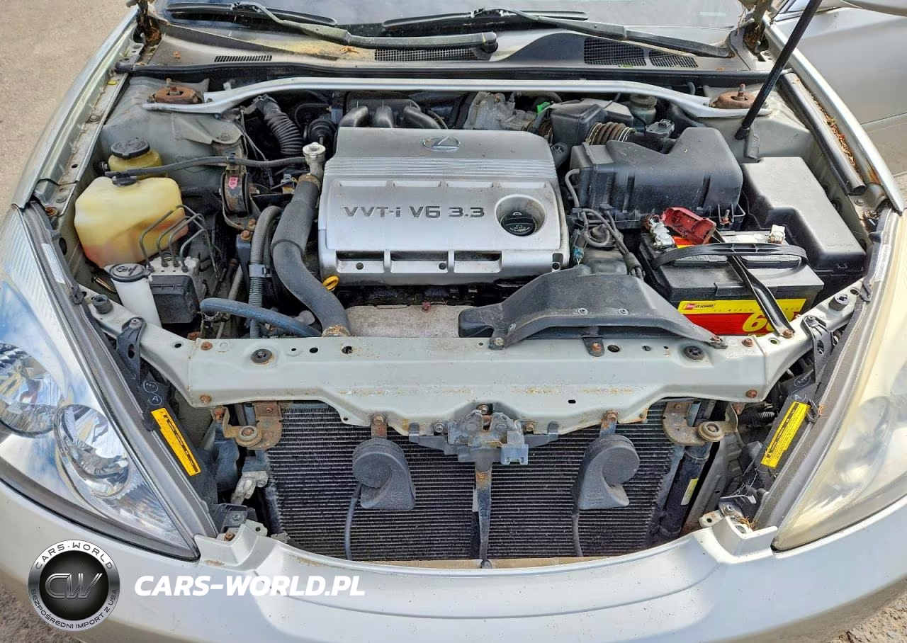 2004 Lexus Es 330 VIN:JTHBA30G940009661 - 11