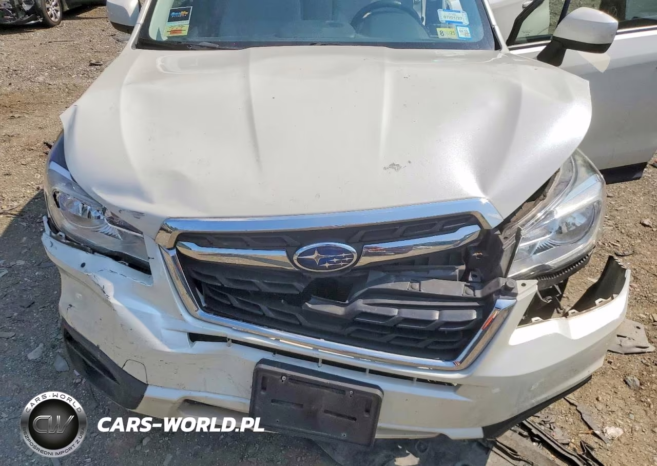 2017 Subaru Forester 2.5I Premium VIN:JF2SJAGC2HH529329 - 12