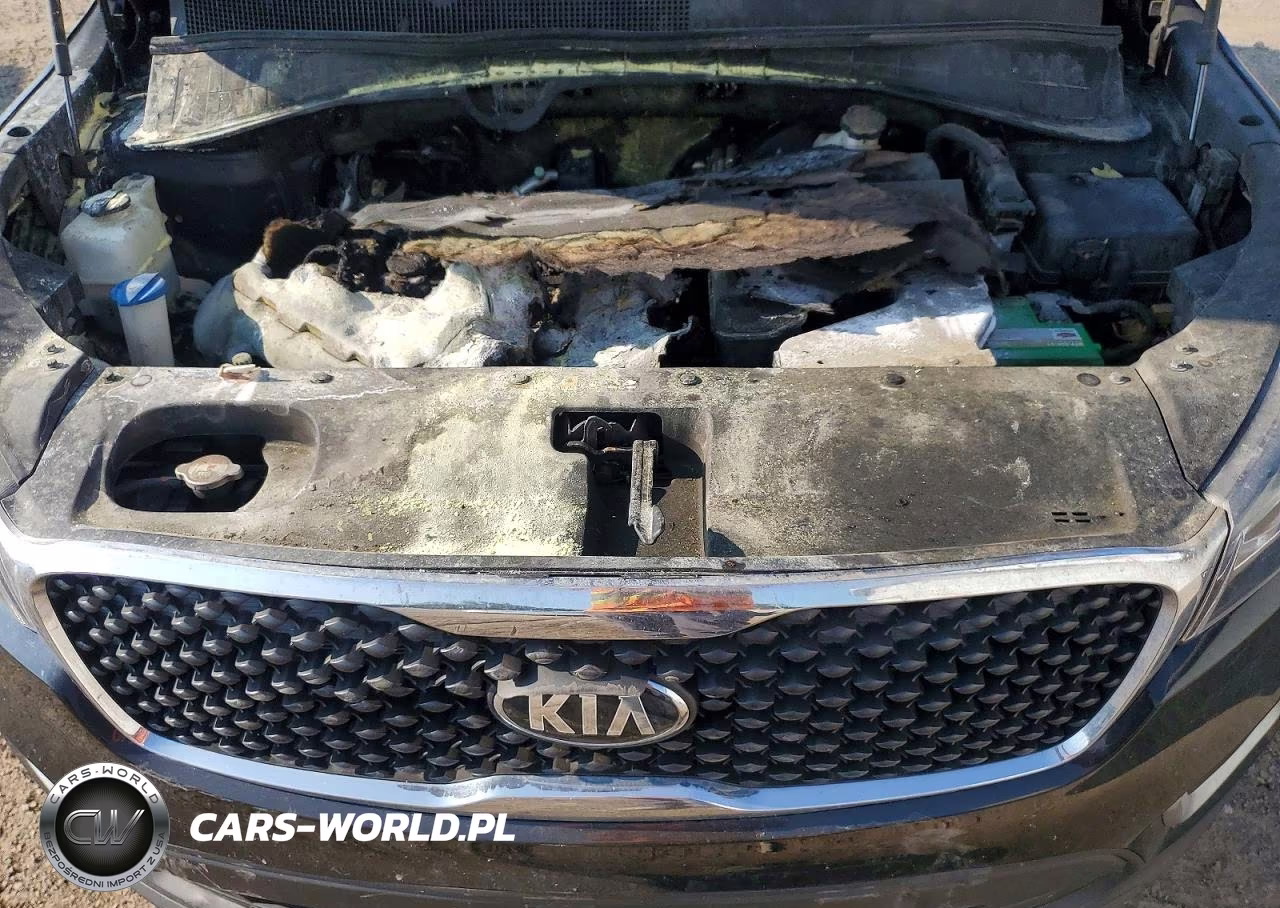 2018 Kia Sorento Lx VIN:5XYPGDA39JG371793 - 12