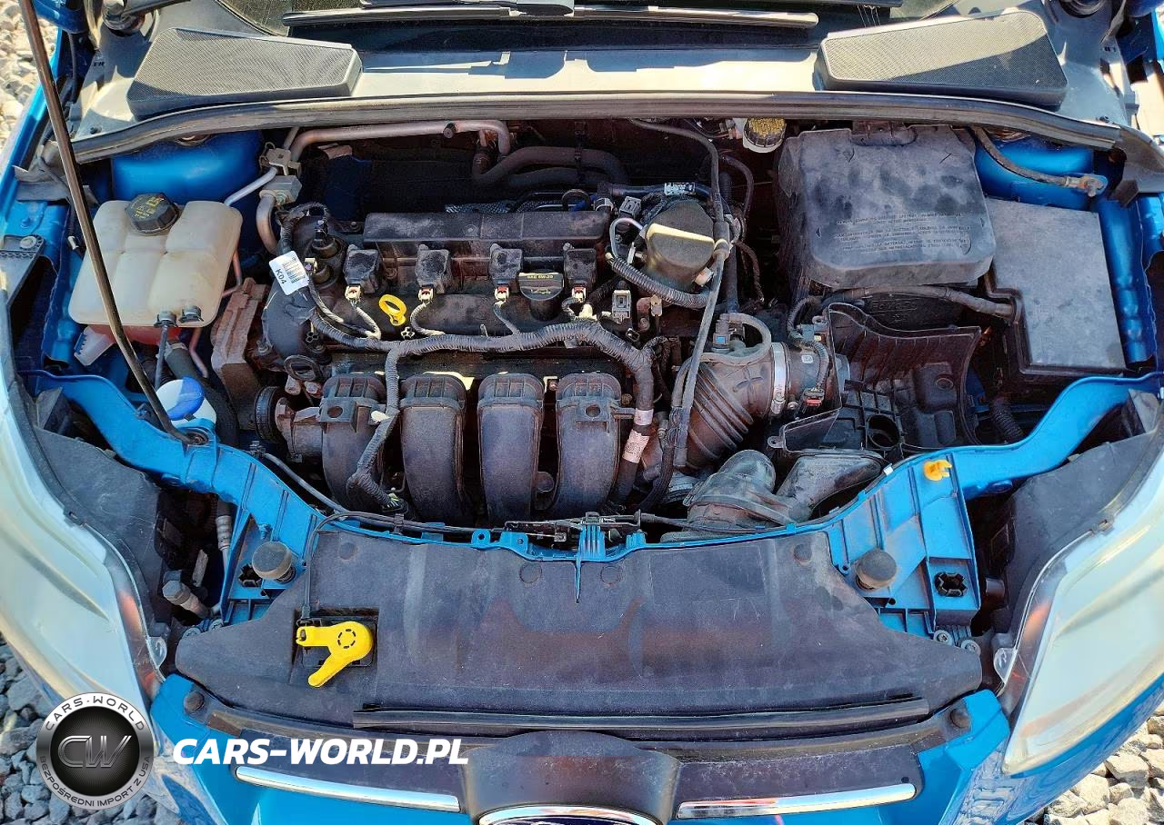 2014 Ford Focus Se VIN:1FADP3F22EL337093 - 11
