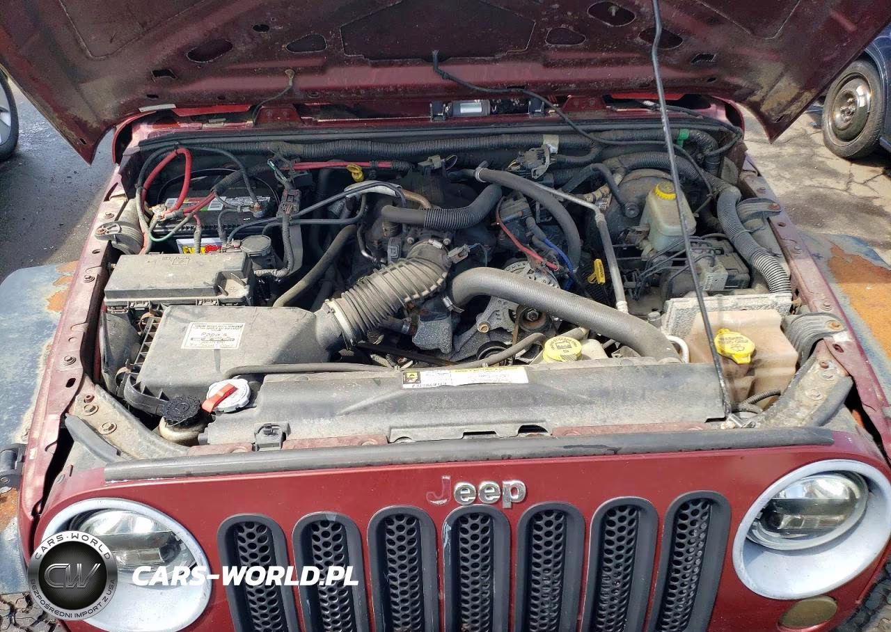2007 Jeep Wrangler X VIN:1J4GA391X7L151908 - 11