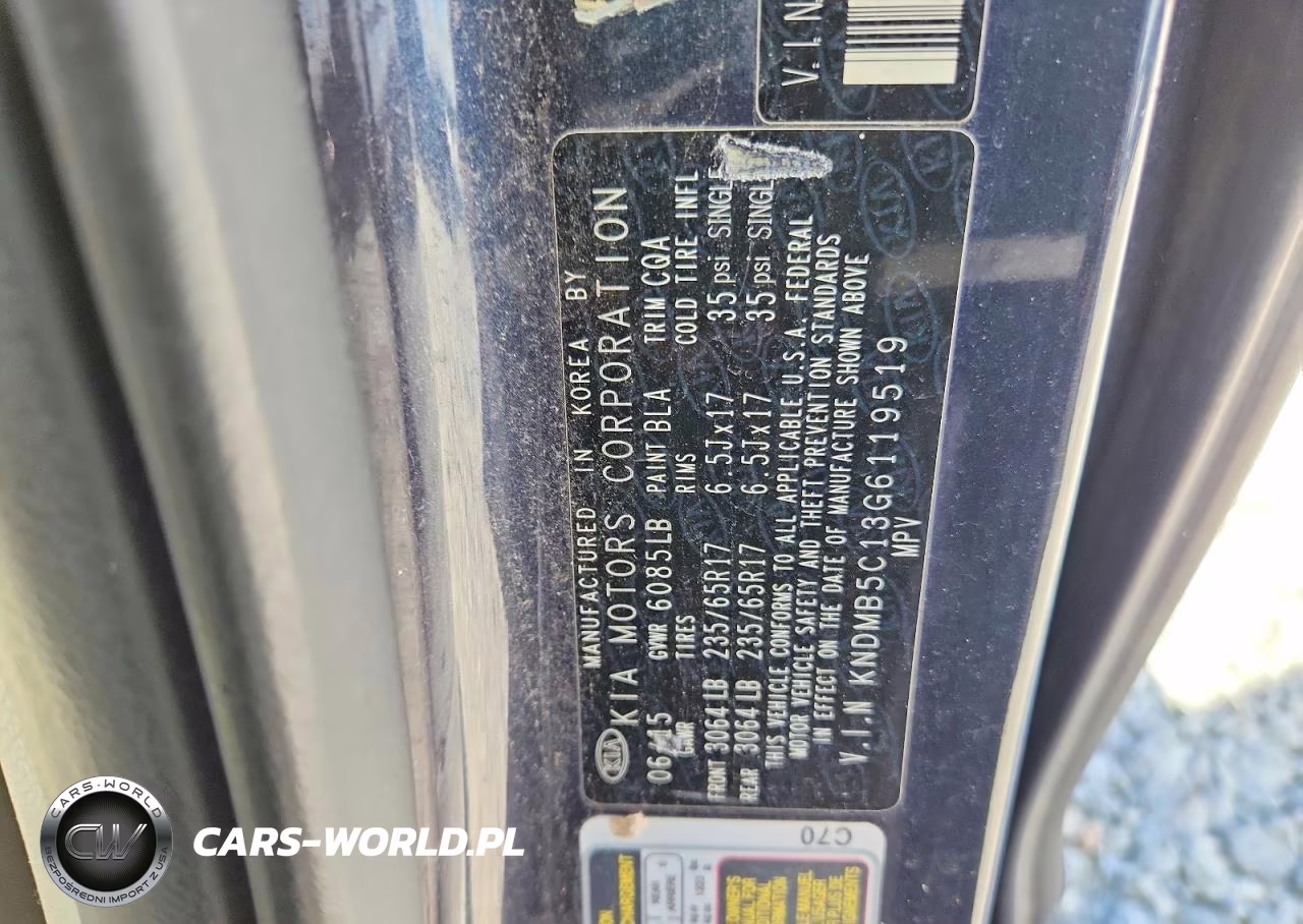 2016 Kia Sedona Lx VIN:KNDMB5C13G6119519 - 13