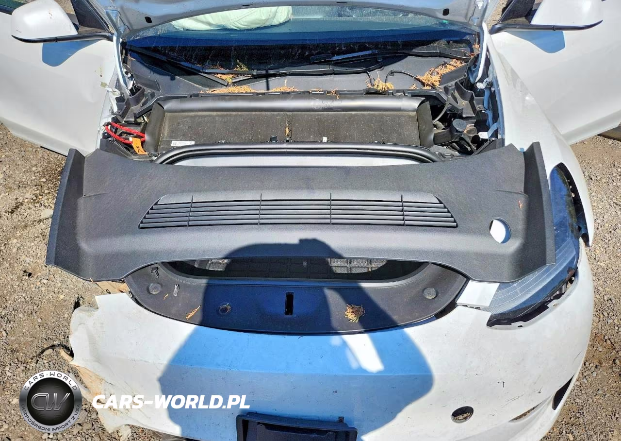 2024 Tesla Model Y VIN:7SAYGDEEXRA259040 - 11