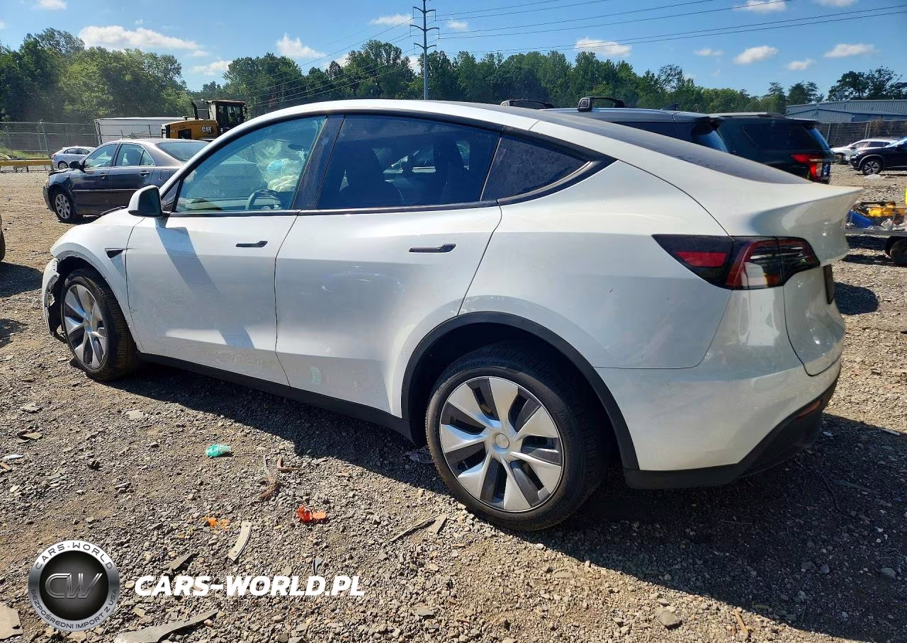 2024 Tesla Model Y VIN:7SAYGDEEXRA259040 - 2