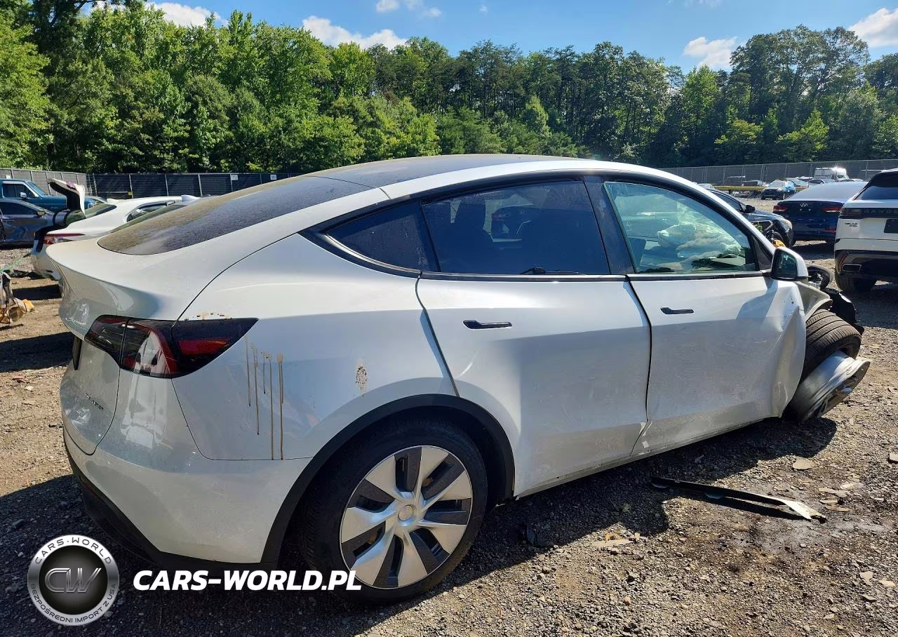 2024 Tesla Model Y VIN:7SAYGDEEXRA259040 - 3