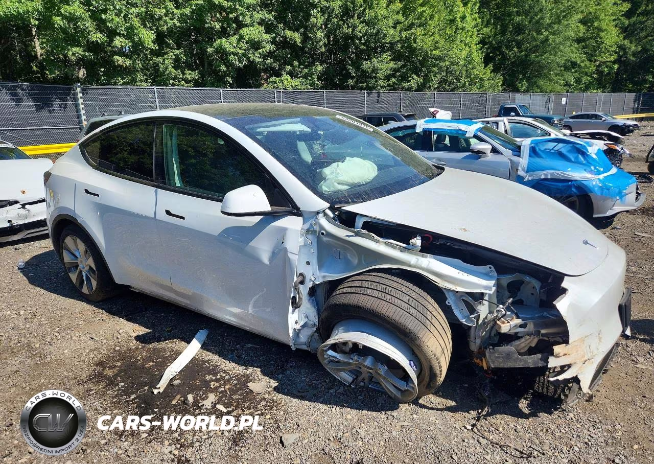 2024 Tesla Model Y VIN:7SAYGDEEXRA259040 - 4