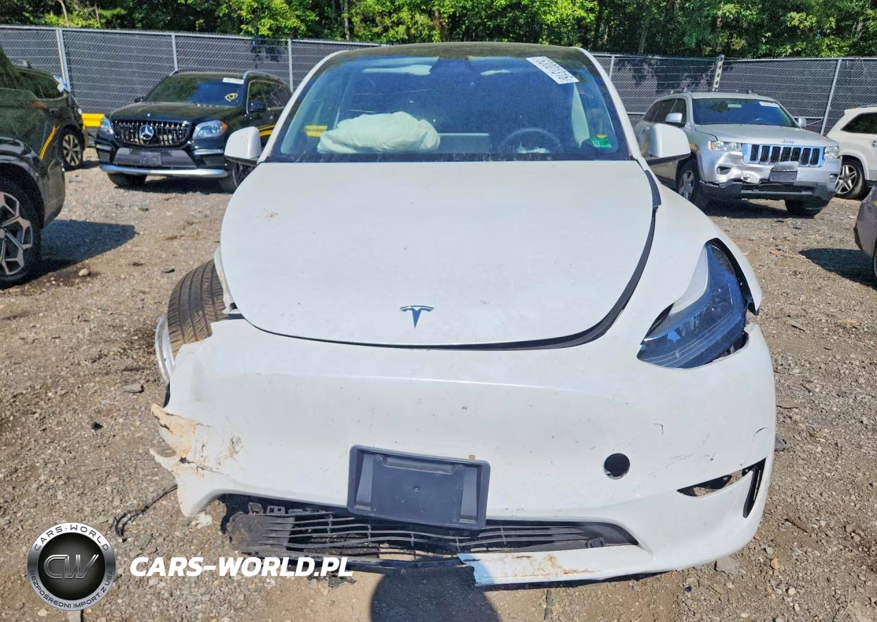 2024 Tesla Model Y VIN:7SAYGDEEXRA259040 - 5