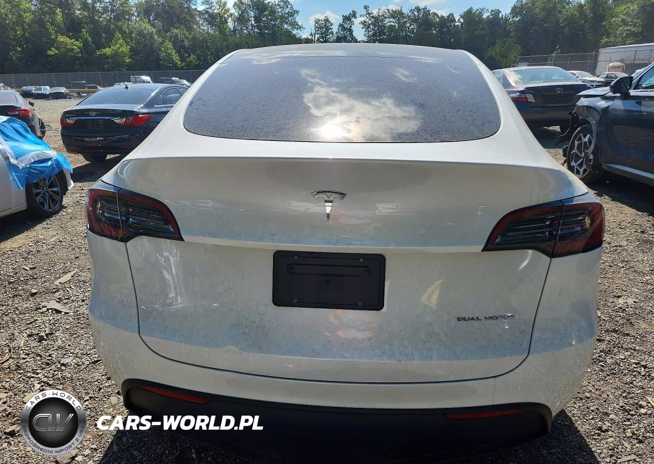2024 Tesla Model Y VIN:7SAYGDEEXRA259040 - 6
